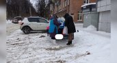 Громко кричат" "молоко": в ярославских дворах заметили необычных продавцов