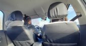 Ярославцы повально жалуются на работу таксистов