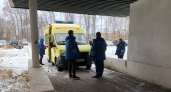 В Брагино мужчина вытащил маленьких девочек, провалившихся  под лед