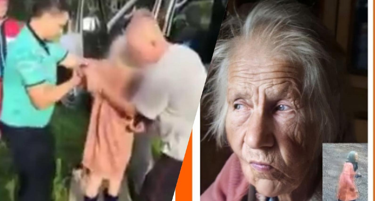 Сначала нашли платок и сапог: что стало с бабушкой, пропавшей в лесу под Ярославлем