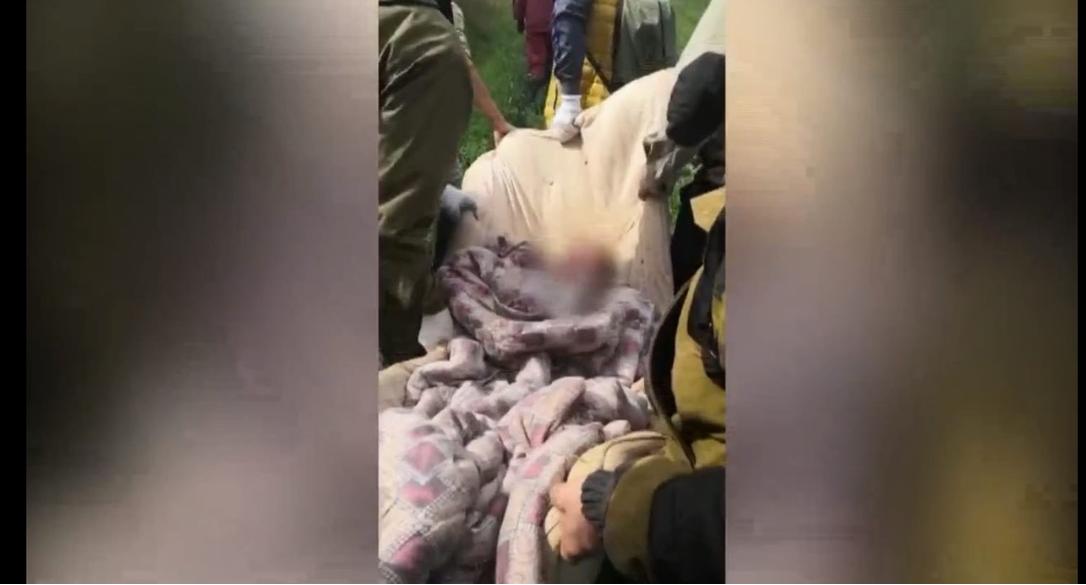 «Лежала в траве с ранами на теле»: под Ярославлем на окраине поля нашли пропавшую бабушку