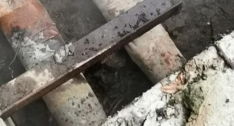 В Брагино нашли человеческие кости 