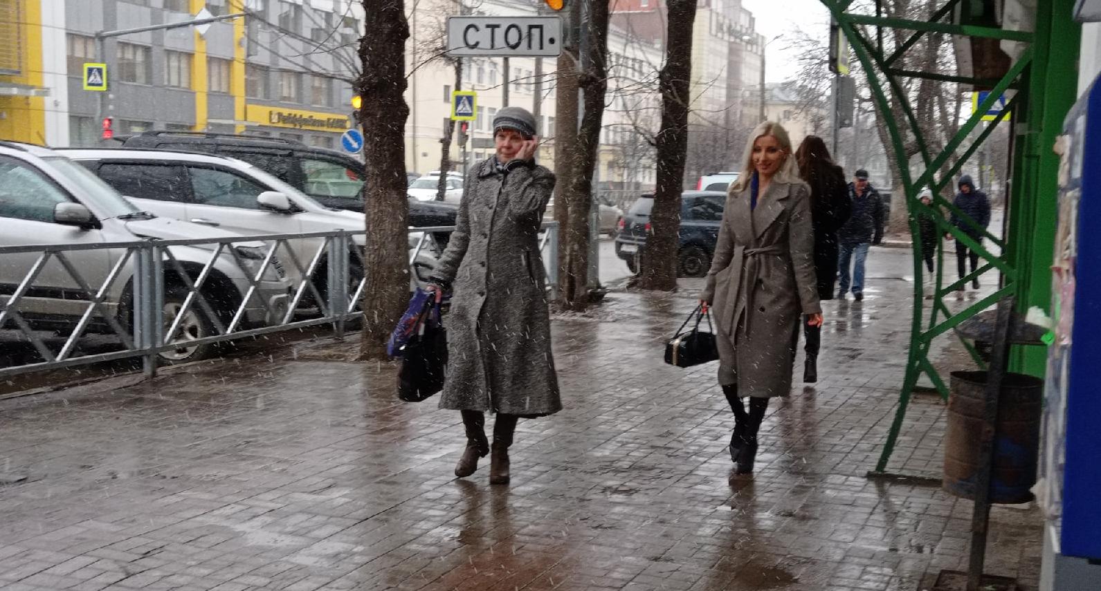 Синоптики: на этой неделе в Ярославле выпадет снег