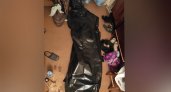 "Чтобы слушался": в Ярославле жена-садистка убила мужа в общежитии