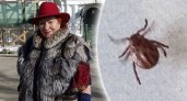 Врач из Ярославля назвала самое опасное место укуса клеща для человека