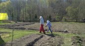 Из-за роста цен чиновники предложили вернуть огороды на пришкольные участки