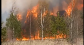 В Ярославской области целая деревня оказалось под угрозой из-за лесного пожара