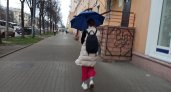 В Ярославль придут весенние грозы и дожди