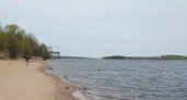 Ярославские «моржи» открыли купальный сезон. Видео