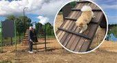 В спальных районах Ярославля появятся новые площадки для собак