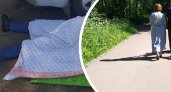 Труп молодого мужчины нашли в кустах в Ярославле