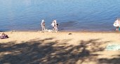 Ярославцам запретили купаться в одном из водоемов из-за опасных для здоровья бактерий 