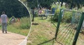 "Не брезгуют ничем": в Ярославской области вандалы воруют ограды с могил 