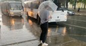 Похолодание и постоянные дожди ждут ярославцев всю неделю