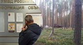 «Приехали люди - рубят»: ярославцы борются за сохранение заповедного леса