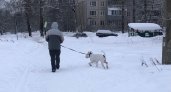 Лютые декабрь, январь, февраль спрогнозировали синоптики в Ярославле