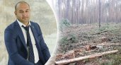 Вырубают лес в Карабихе: возмущенный ярославец дошел до Бастрыкина