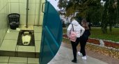 "Под каждым кустом нужду справляют": ярославцы требуют установить в городе больше туалетов