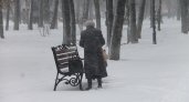  20-сантиметровые сугробы и лютые морозы пообещали в Ярославле к выходным