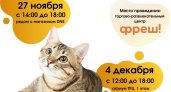 Ярославцы продают книги, чтобы спасти жизнь кошкам