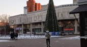 Центральные площади Ярославля рискуют остаться без новогодних елок