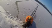 В Ярославле спасатели вытащили собаку, провалившуюся под лед