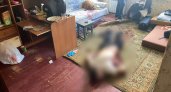 В Ярославле мужчину убили из-за его собаки