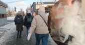 Жители Ярославля рассказали, что они курят
