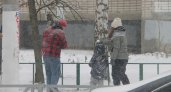 Метели и ледяные дожди обрушатся на Ярославль 