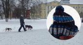 "Мальчик кричал: "Помогите!": рыжая собака держит в страхе детей под Ярославлем 