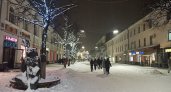 Ярославцам из-за плохой погоды отменят новогодние развлечения