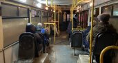 "Выживаем как можем": ярославна пожаловалась губернатору на дикие цены в автобусах