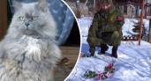 "Ты была настоящей кошкой артиллериста": военный из Ярославля 6 лет посещает могилу Дашки