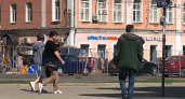 В Ярославской области у 53-летнего мужчины изъяли 284 грамма конопли