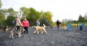В Брагино площадку для выгула собак закрыли от посетителей