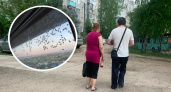 "Дихлофос не помогает": ярославцы сообщили о нашествии клопов
