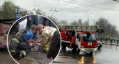 Задыхавшегося в пожаре ребенка и его питомца спасли пожарные в Ярославской области