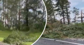 "В сторону города пробка": под Ярославлем случился мощный смерч