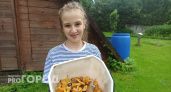 Лесники назвали топ-5 грибных мест в Ярославской области