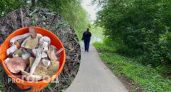 Грибники рассказали, где в Ярославле набрать ведро белых грибов
