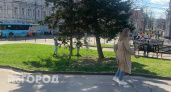 В центре Ярославля установят автоматические столбики для ограничения проезда