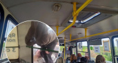 В Ярославле юноша сделал сальто в окно автобуса