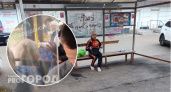 В ярославском автобусе женщина наорала матом на ребенка