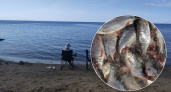 В Ярославской области рыбаки незаконно наловили рыбы с ущербом природе почти на 3 миллиона рублей
