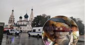В Ярославской области мужчина за 500 рублей пытался зарубить собаку топором