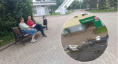 Ярославцы возмущены снятием нового асфальта в Дзержинском районе