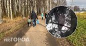 В городе ярославцы заметили красивую сову