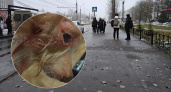 В Ярославле мужчина избил девочку и ее миниатюрную собаку