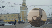 "Скотчем обмотать, и норм": ярославцы тревожатся из-за крошащегося по кускам столба у дороги