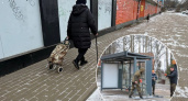 В Ярославской области установили лавочки с подогревом